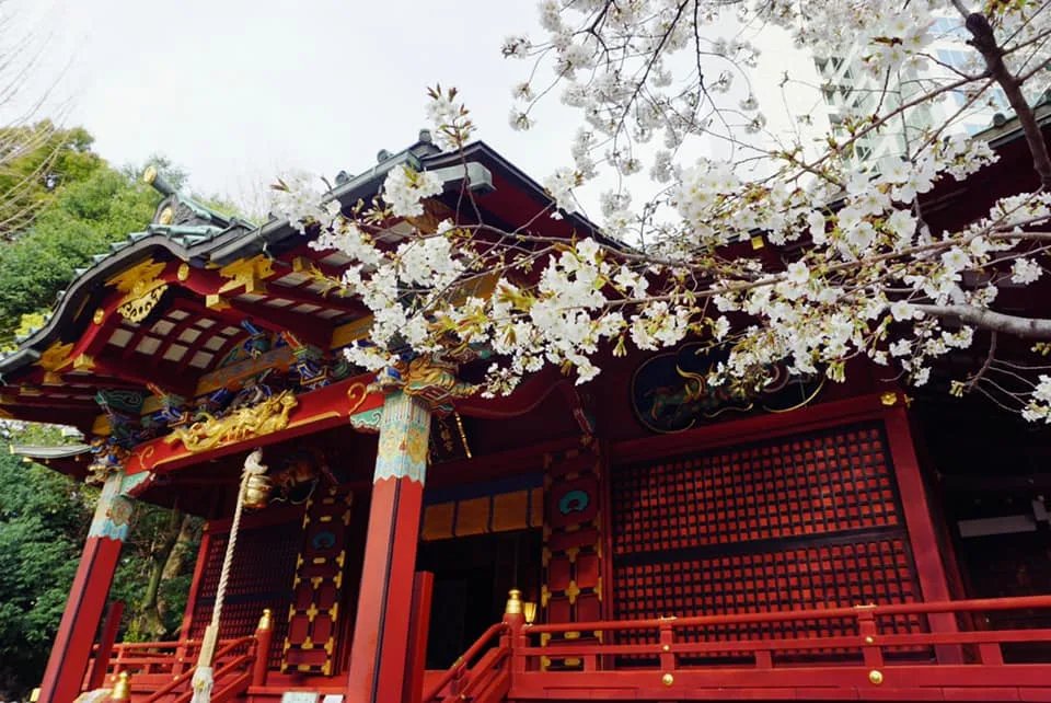 ⛩️ 도노고 하치만구 신사 이미지 1